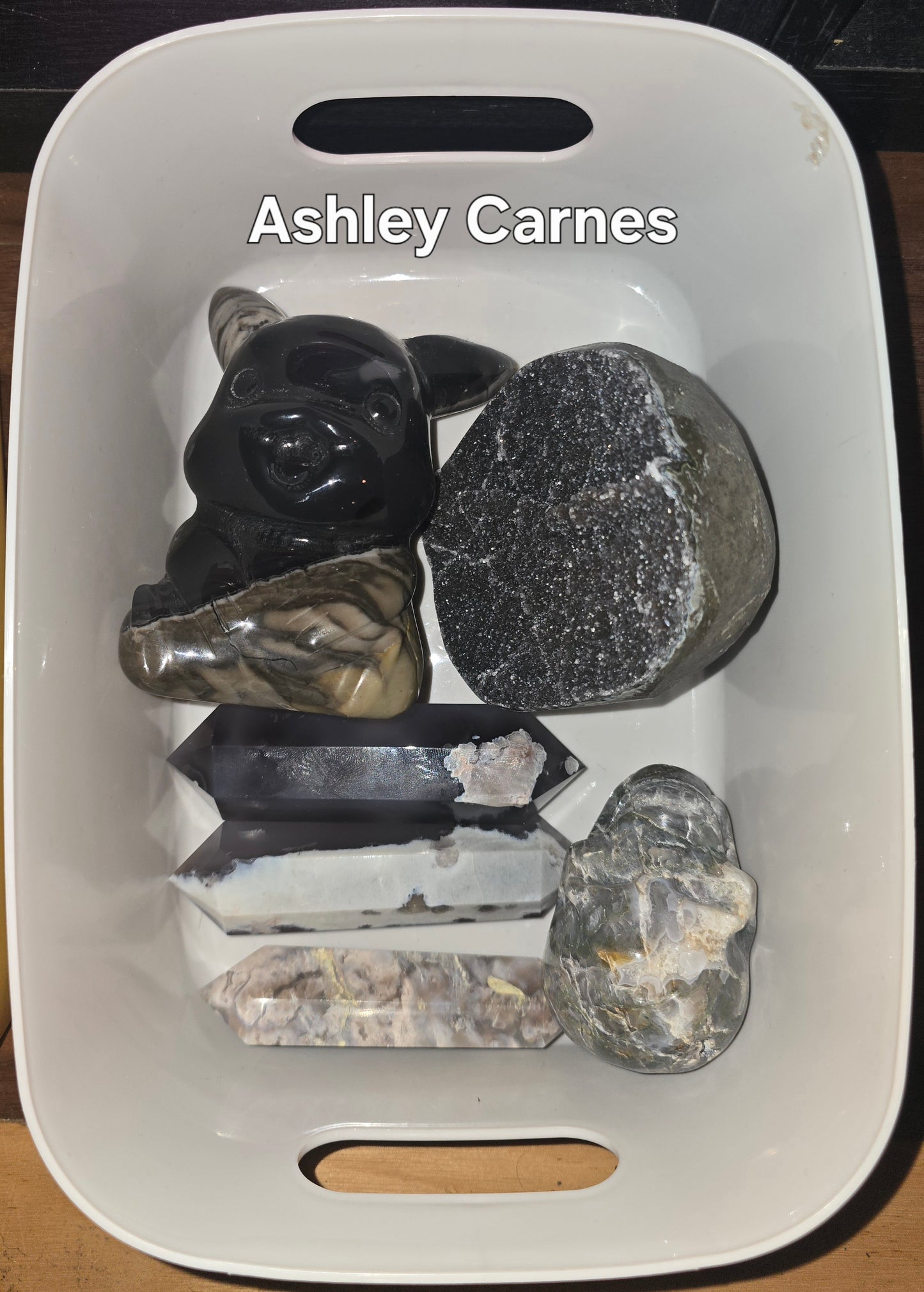 Ashley Carnes 12/13