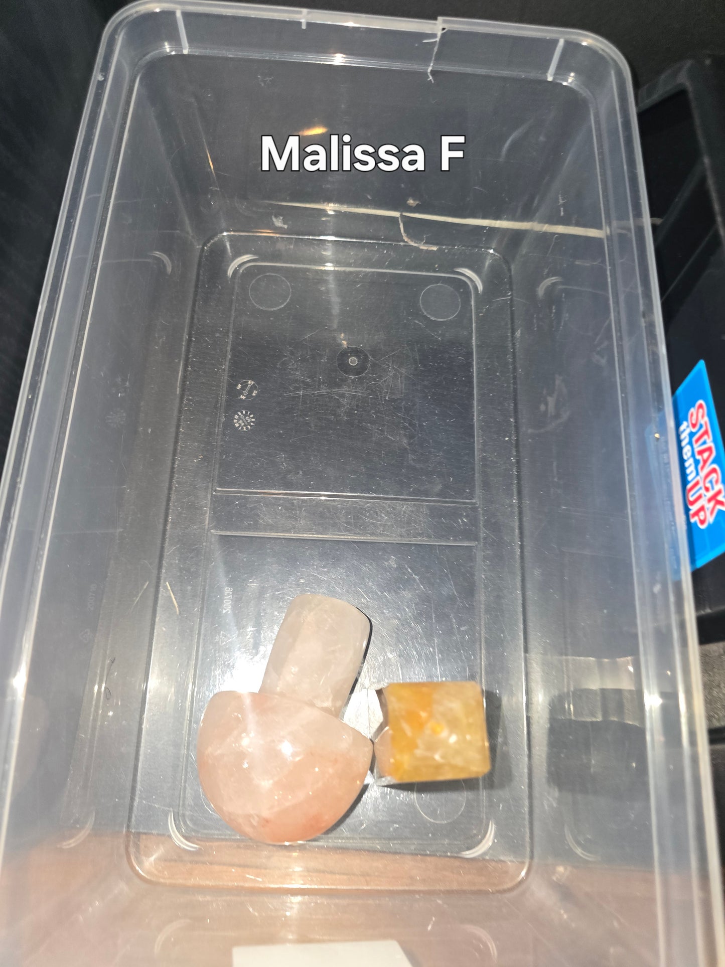 Malissa F 12/13