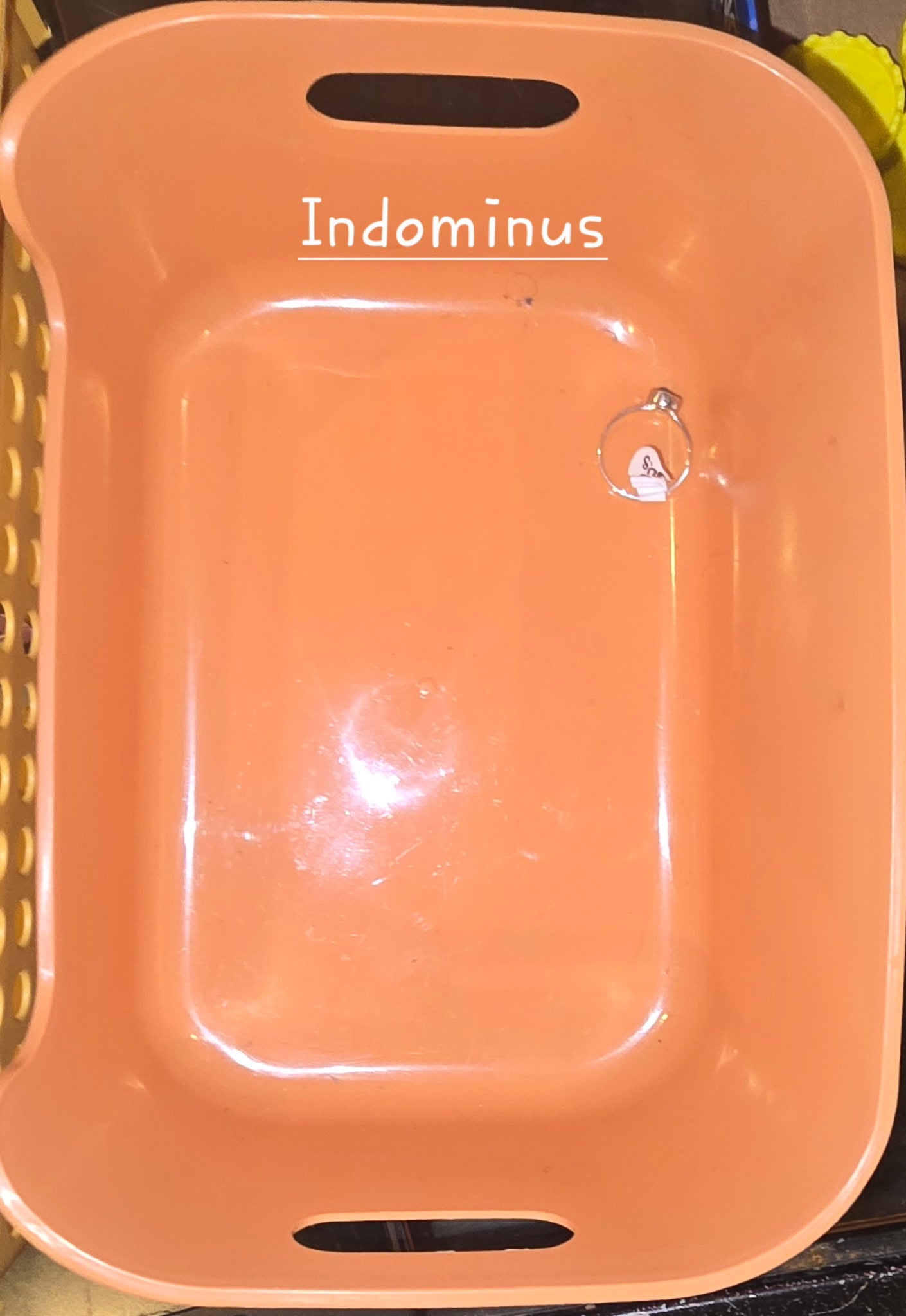 Indominus 11/28