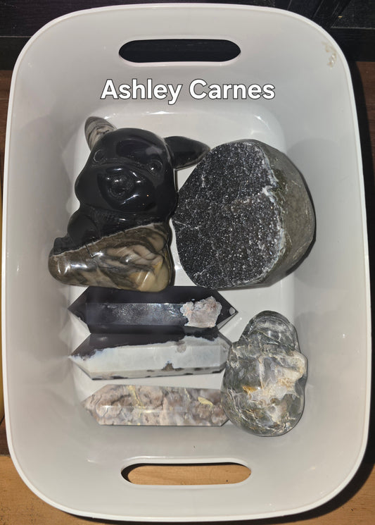 Ashley Carnes 12/13